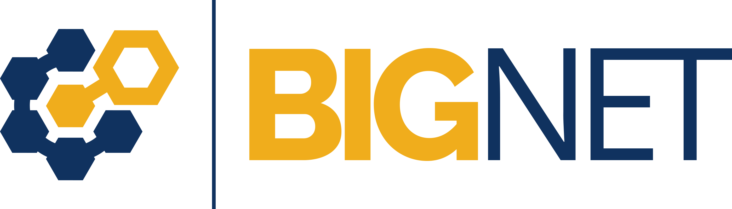 BIGNET